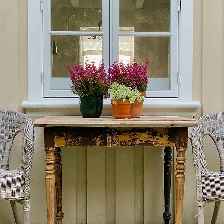 Peaceful Log By The Fjord On *