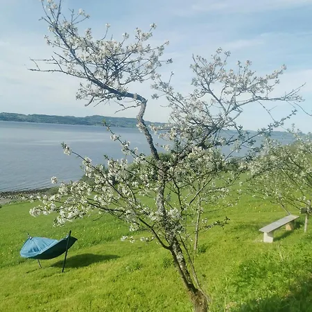 Peaceful Log By The Fjord On Ytteroy