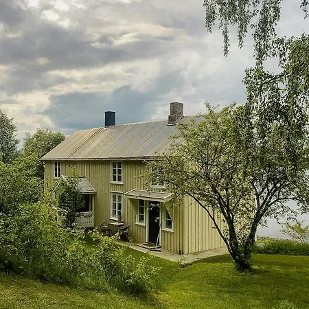 Peaceful Log By The Fjord On