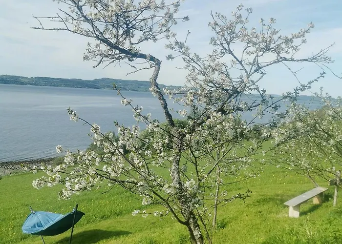 Peaceful Log By The Fjord On Ytteroy