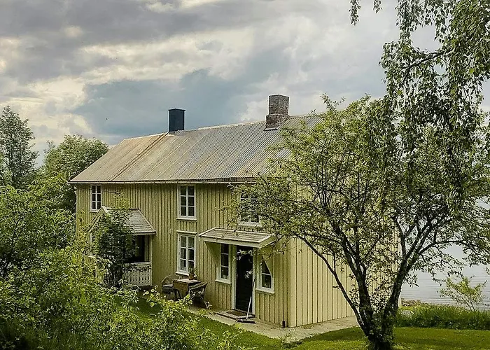 Peaceful Log By The Fjord On