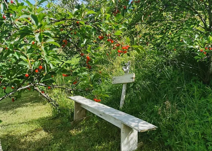 Peaceful Log By The Fjord On Ferienhaus