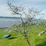 Peaceful Log By The Fjord On Ytteroy