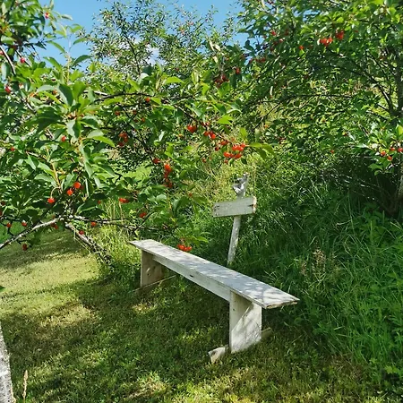 Peaceful Log By The Fjord On Holiday home